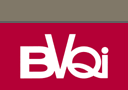 Duplex Stainless Steel Check valves with  BVQI third party inspection and certifications