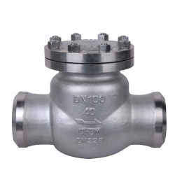 Duplex Stainless Steel Butt- Weld Wwing Check Valve