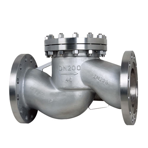 Duplex Stainless Steel Lift Check valve