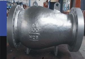Duplex Stainless Steel Flanged Nozzle Type Check Valves
