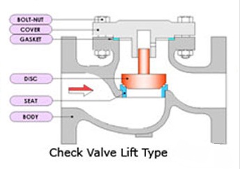 Duplex stainless steel lift type non return valve