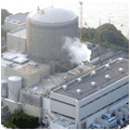 Duplex Steel globe valves for  Nuclear Power  projects
